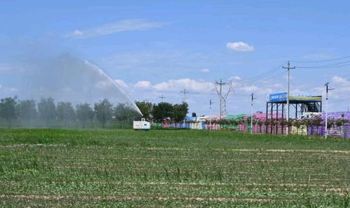 禮泉縣煙霞鎮打造 休閑農業 鮮活樣本唱響鄉村振興 田園牧歌