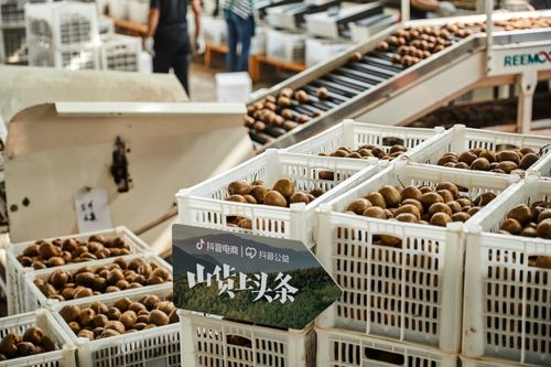 農特產47.3億單的背后故事