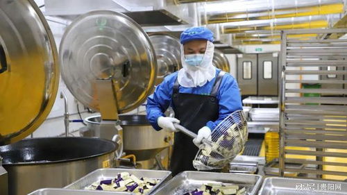 貴陽農產品物流園鮮凍蔬菜加工項目投產