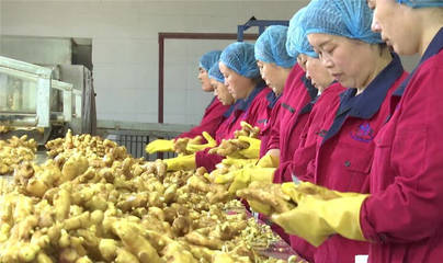 濰坊安丘:強化農產品監管 打造食品農產品質量安全示范區