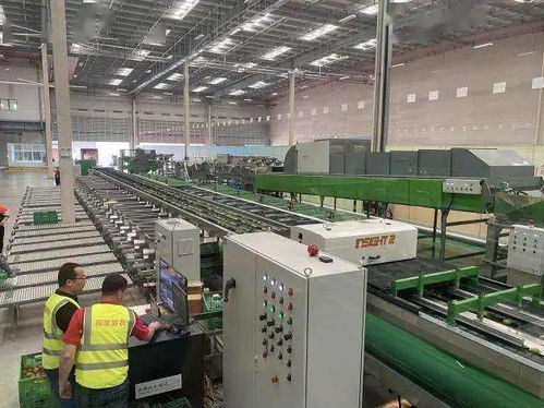 什么是農業產業鏈 農業全產業鏈應該如何布局