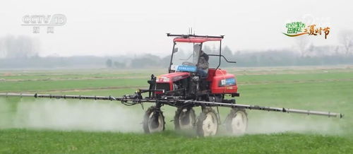 科技與農業 碰撞 算力 一張網 助力農產品生產向優 向綠 向新