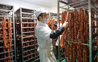 現代農業奏響富民交響曲