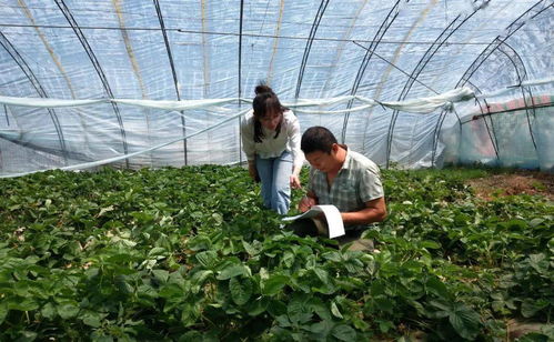 撫松縣農業農村局落實食用農產品合格證制度 守望城鄉群眾 餐桌安全