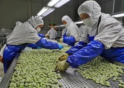 江蘇如東:以“三農”經濟增長點激活鄉村動能 千里沃野開啟“美顏”模式