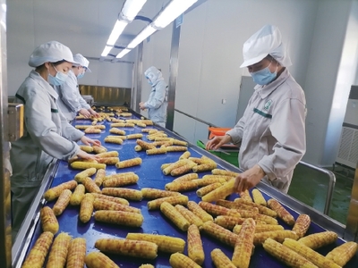 鮮食農產品緣何成“餐桌新寵”?