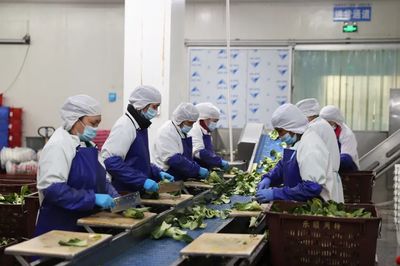 深圳喊話香港:請全力戰疫,你的后背我來守候