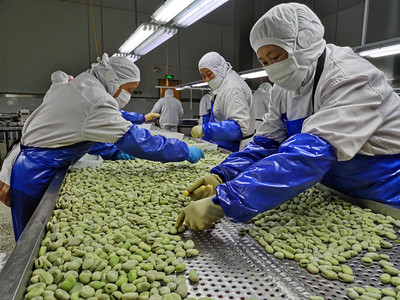 如東:“三農”活力釋放 農村處處新氣象