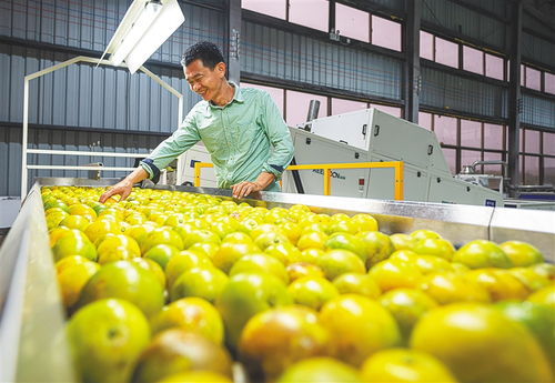 海墾農業全產業鏈邁向 2.0