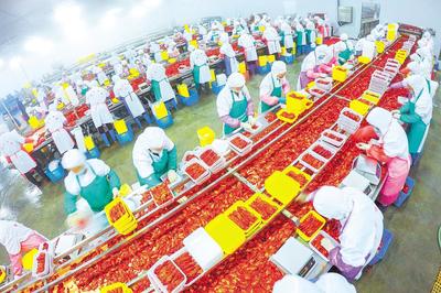 我省145家上市公司,農業企業僅占6席-- 沖刺上市,“農字號”企業欲酬壯志