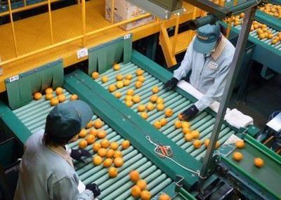 日本農協為什么牛?