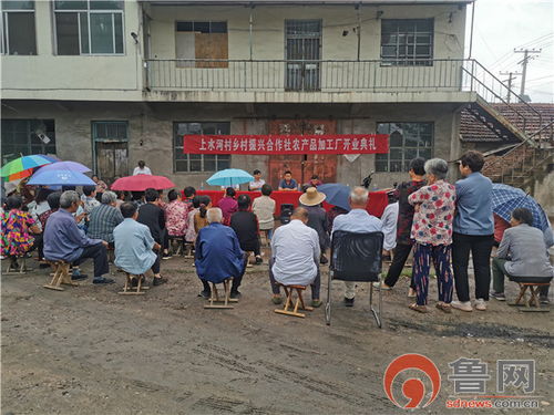 真心為民辦實事 促民增收新 路子 濟南市萊蕪區口鎮街道上水河村鄉村振興合作社農產品加工廠開業