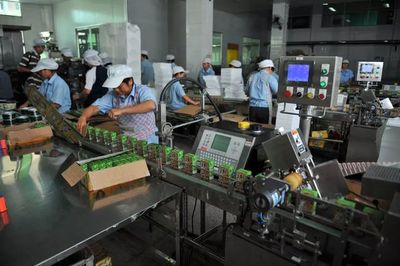 改革40年·廈商40人 | 中綠孫少鋒:執(zhí)著的“農(nóng)場主”