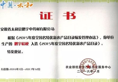 剛剛公布 界首這個(gè)地方被國家看中 以后不得了 快看是你們村嗎