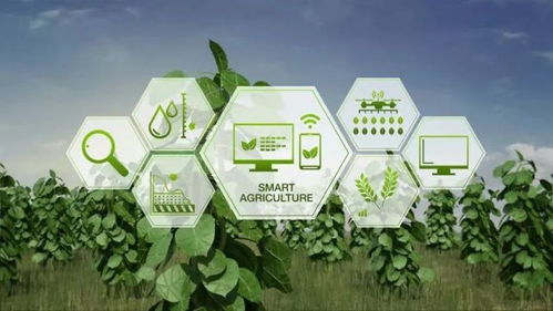 暴雨 寒潮 干旱 全球極端天氣頻發(fā),農(nóng)業(yè)該如何應(yīng)對(duì)