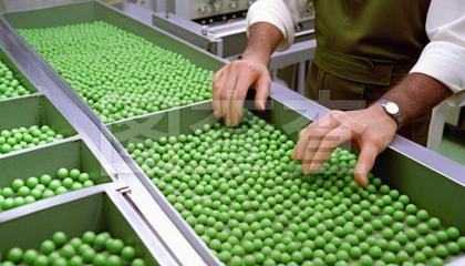 農(nóng)產(chǎn)品深加工