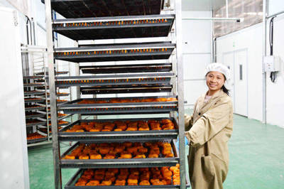 廣西平樂千臺(tái)果蔬烘干機(jī)助力農(nóng)產(chǎn)品創(chuàng)收