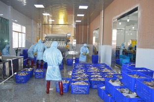 廣東省名特優(yōu)新農(nóng)產(chǎn)品經(jīng)營專用品牌