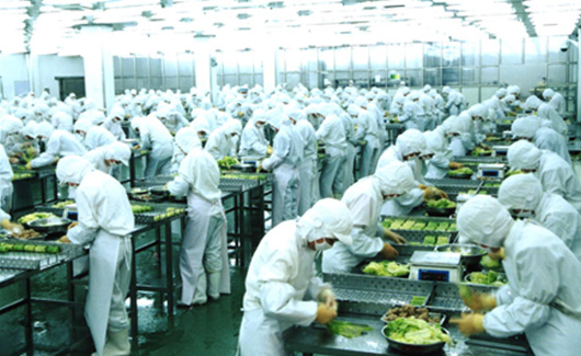 求索企業(yè)可持續(xù):走進(jìn)龍大,探訪生態(tài)農(nóng)業(yè)產(chǎn)業(yè)鏈