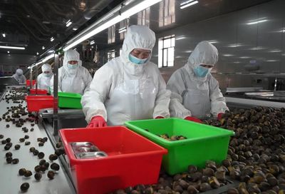 河北遵化:發(fā)展農(nóng)產(chǎn)品深加工助力鄉(xiāng)村振興