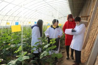 狠抓源頭監(jiān)管確保節(jié)日期間農(nóng)產(chǎn)品質(zhì)量安全