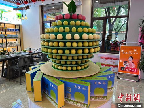 甘肅慶陽(yáng) 果肉飄香 打造農(nóng)產(chǎn)品品牌形象店矩陣