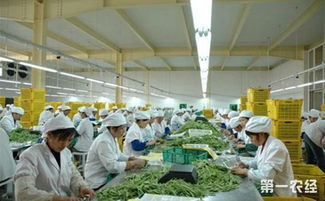哈爾濱 大力發(fā)展農(nóng)產(chǎn)品精深加工業(yè)
