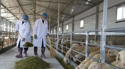 陜西榆陽(yáng):加快現(xiàn)代農(nóng)業(yè)轉(zhuǎn)型升級(jí)高質(zhì)量發(fā)展