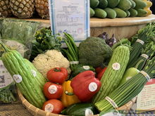 上林扶貧農(nóng)副產(chǎn)品展銷中心南寧揭牌 圖