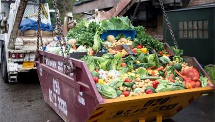 遭遇“糧荒”有多可怕?美國(guó)不少人吃不飽,中國(guó)卻連傳好消息!