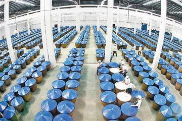 固態(tài)發(fā)酵的詳細(xì)介紹