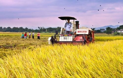 農(nóng)業(yè)發(fā)展的三大支柱是什么