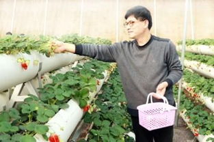 慶云打造全域優(yōu)質(zhì)農(nóng)產(chǎn)品生產(chǎn)基地