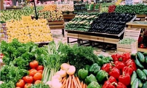 確保舌尖安全 咸寧市農(nóng)業(yè)農(nóng)村局加強(qiáng) 兩節(jié) 前農(nóng)產(chǎn)品質(zhì)量檢測(cè)