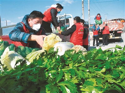 青島膠州 籌集愛(ài)心蔬菜 捐贈(zèng)支援武漢