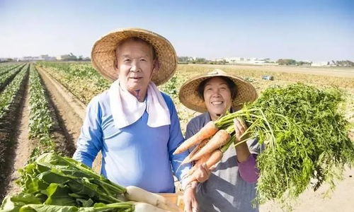 照顧母親15年,買車要5萬被拒,哥哥一句話,15萬養老錢全給他