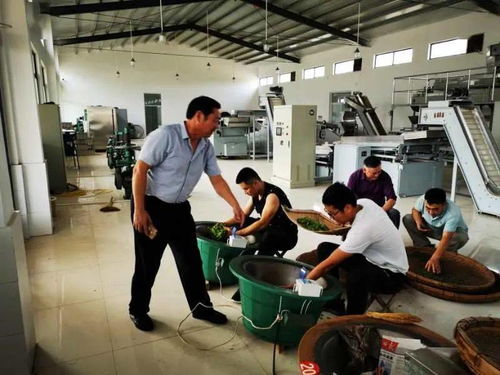 創建農產品質量安全省 第4期 日照 狠抓標準化生產與執法監管,打造農產品質量追溯體系