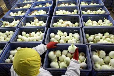 滯銷難道是我國“特權”?看國外農產品如何運作!