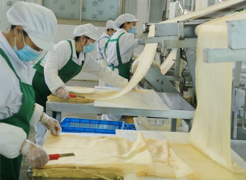 你是我熟悉的隴南,太可以了