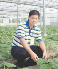 深扎根才能瓜香果甜