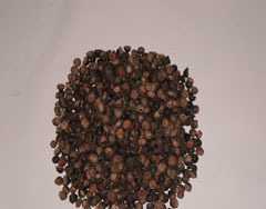 食用菌生產(chǎn)原材料蓮子殼_農(nóng)副產(chǎn)品_世界工廠網(wǎng)中國產(chǎn)品信息庫