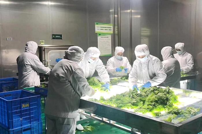 預(yù)制菜首次寫入中央一號文件 浙江企業(yè)加碼布局“新賽道”