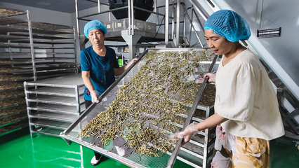 湖北荃品匯食品:從“田間”到“舌尖” 讓農(nóng)產(chǎn)品“鮮”行更遠(yuǎn)