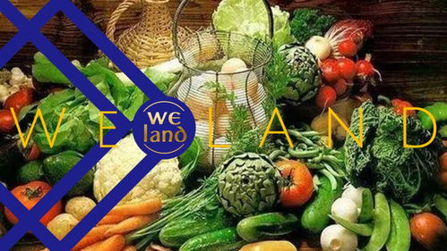 農(nóng)業(yè)農(nóng)村部唐珂 加快完善農(nóng)產(chǎn)品產(chǎn)銷對接體系