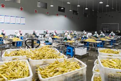 “云字頭”農(nóng)產(chǎn)品背后的人們