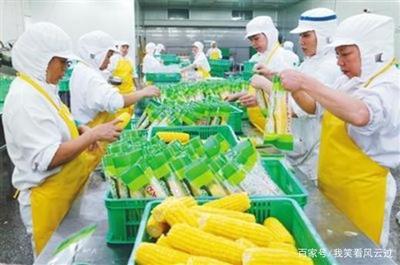大蒜價格暴跌,農戶和蒜商都損失慘重,怎樣避免農產品暴漲暴跌?