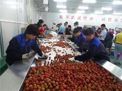 黔東南蔬菜批發-農產品配送-免費送達