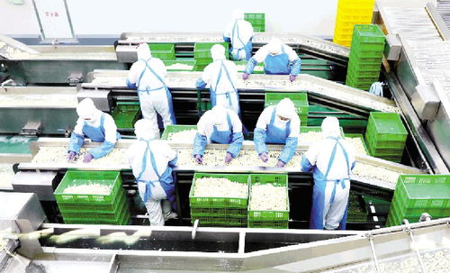 鼎力打造世界級農產品品牌