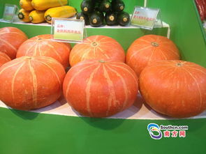 肇慶120個名特優新農產品集中亮相