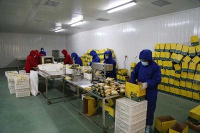 青岡巧用網紅經濟帶旺農產品銷售